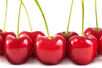 Bing Cherries in two rows on white background. 