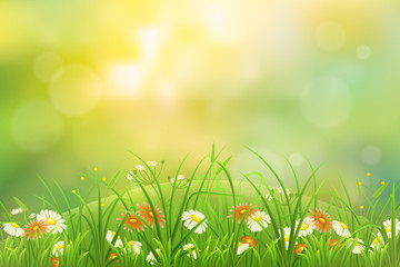 Summer nature background with green grass and flowers