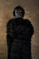 man dressed as gorilla monkey poses