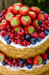 honey cake with fruits