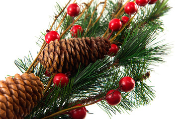 Christmas Holiday Pine Decor