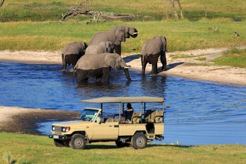 Deurstickers Safari © Andreas Edelmann