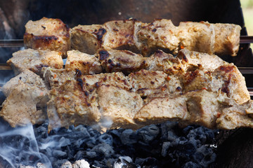 shish kebab on the grill