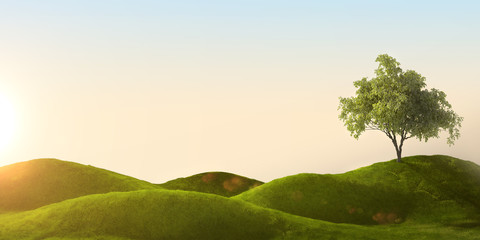 3d rendering of a green field
