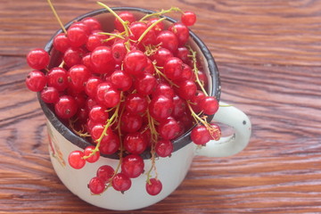 red currant