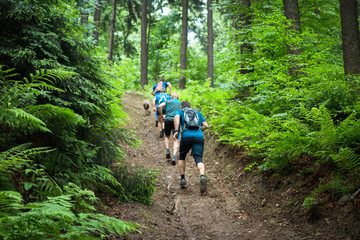 four men running hard up the hill in the forest with fern