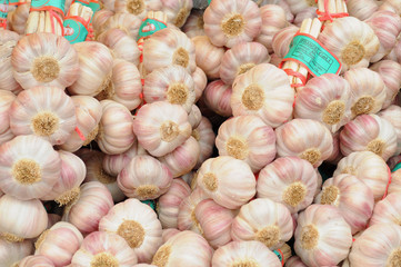 Knoblauchzöpfe knoblauch