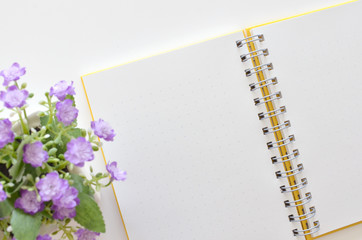 Notebook , book open for text design
