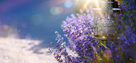 art Summer or spring beautiful garden with lavender flowers