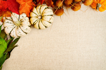 Fall Decor Background for Thanksgiving and Autumn design elements.