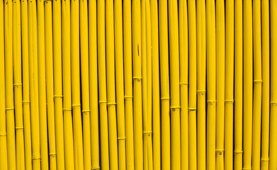 bamboo background of bamboo sticks arranged in a row