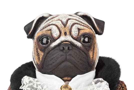 Toy Pug Dog In Butler Costume