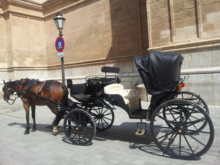 Конная карета в Мальорке
