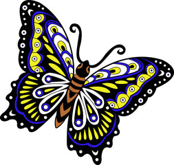 vector illustration of a colored butterfly
