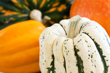 Medley of Squash
