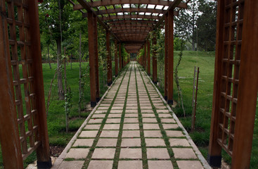Parkta geçit