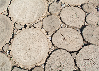 Path of wooden bars