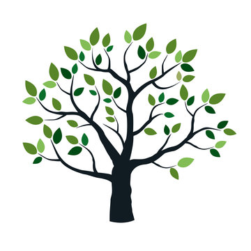 Vector tree and green leafs