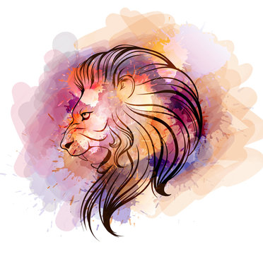 Watercolor lion head