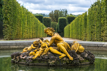 Fountain in the gardens of the Versailles Palace