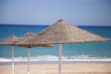 Straw beach brollies