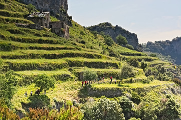 hiker,trekker,path,gods,amalfi coast,walking,terraces