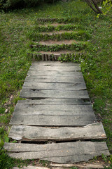 Obraz premium Wooden path