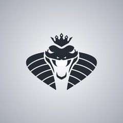 Fototapeta premium snake