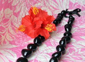 ハイビスカスとククイレイ