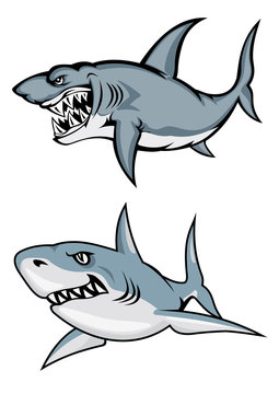 Cartoon white sharks with evil smiles