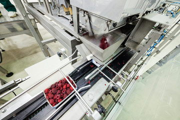 frozen raspberry processing business