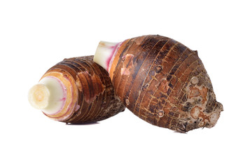 unpeeled whole taro on white background