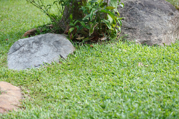 Obraz premium Big stone in green garden background.