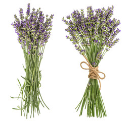 Naklejka premium Lavender isolated on white background. Fresh provencal flowers