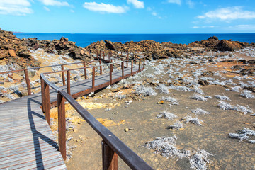 Galapagos Islands Boardwalk
