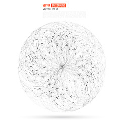 Vector Social Networks 