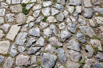 detail of cobblestone path