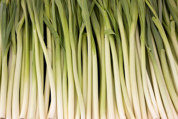 Leek in the market