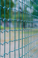 Green wire fence after rain closeup