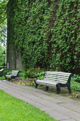 White benches in park near stone wall covered by climbing plants
