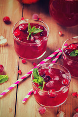 Cranberry and pomegranate cocktail with mint garnish