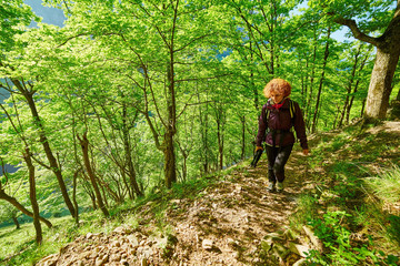 Naklejka premium Woman walking in the forest