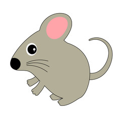 鼠