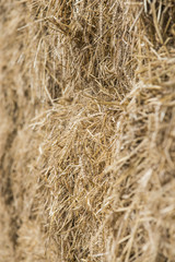 Wheat haystack