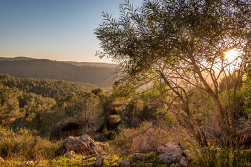 Fototapeta na wymiar winter sunset in Israel, Mount Eitan
