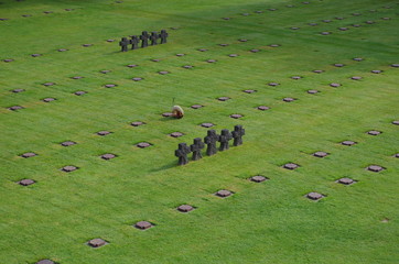 cimetière militaire allemand de la Cambe