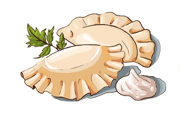 Vector illustration of a couple dumplings, sour cream and parsley. Ukrainian cuisine