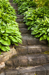 romantic stone stairs with green margin