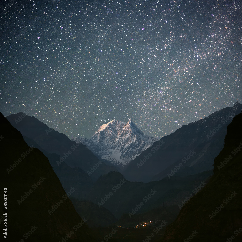 Wall mural nilgiri south (6839 m)