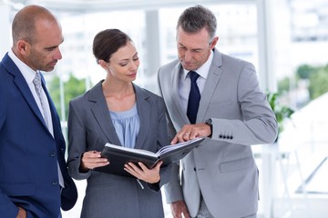 Businesswoman showing her notes to her colleagues